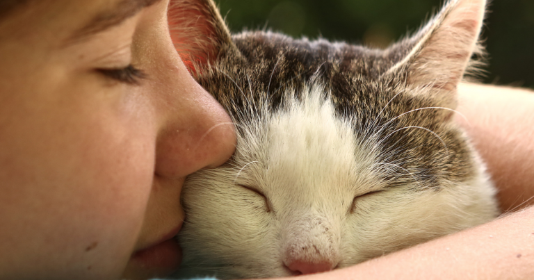 Adult grown cat sleeping in a girl's arms