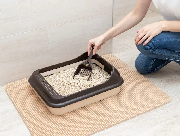 arena para gatos control de olor-persona limpiand la caje de arena de su gato_Odor control cat litter